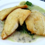 2406F 20 Bad Zwischenahn